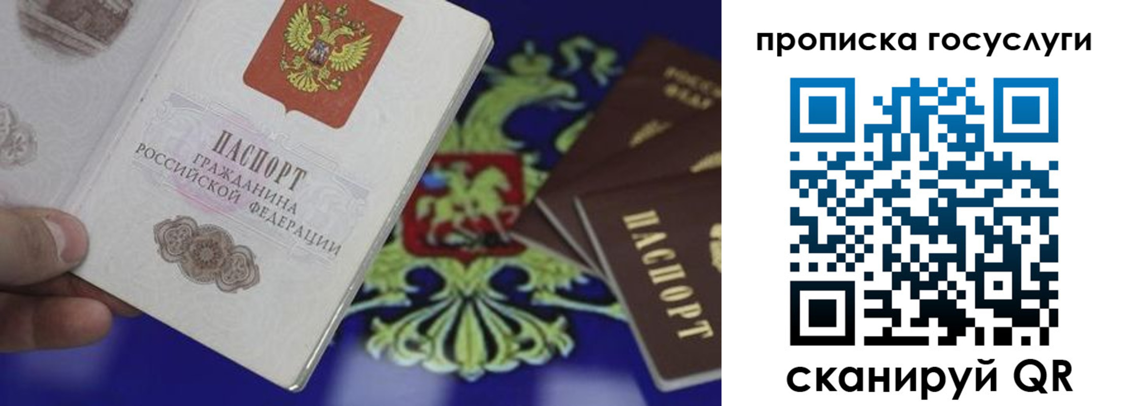 прописка для школы в Кирсе